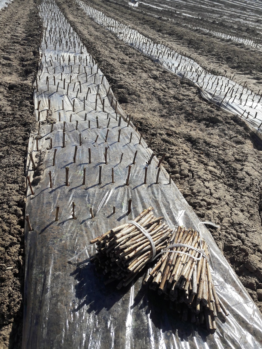 фОТО ИЗ ЛИЧНОГО АРХИВА.