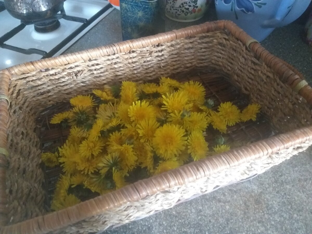 Варенье из одуванчиков рецепт