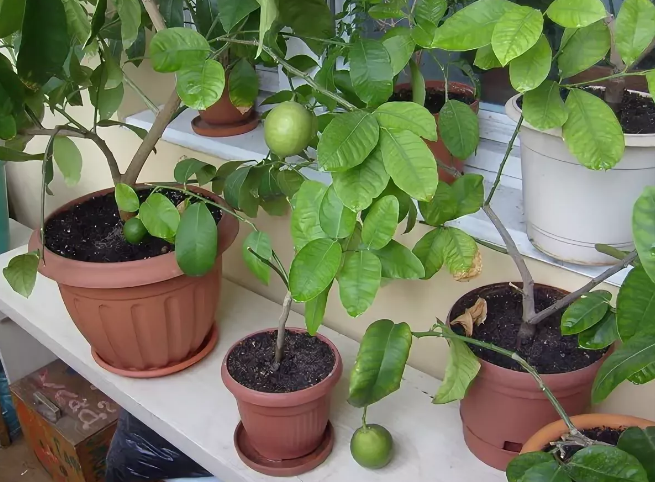  Фотография взята из источника ssdosug.ru