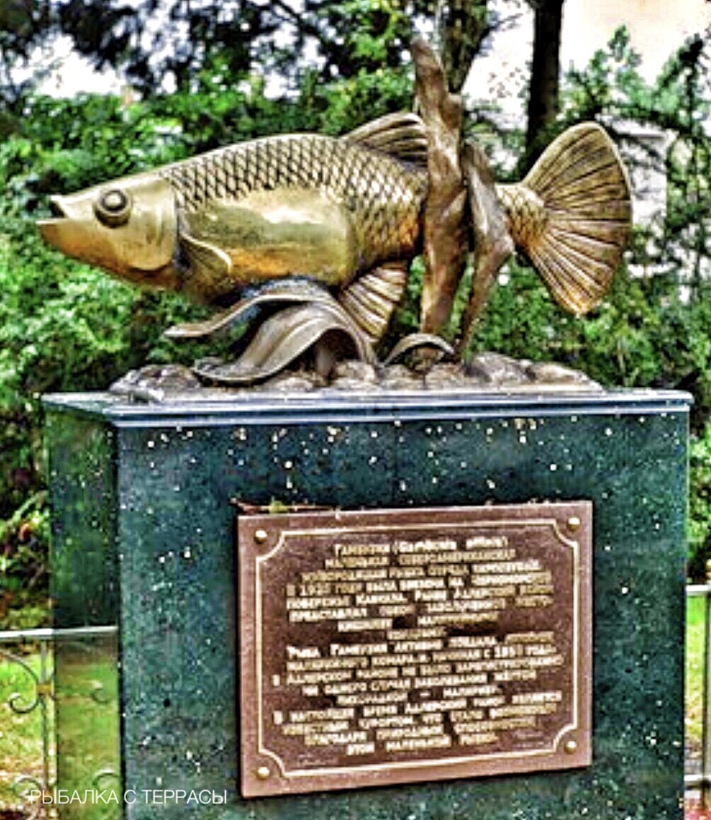 Установлен в Адлере. Фото с интернета