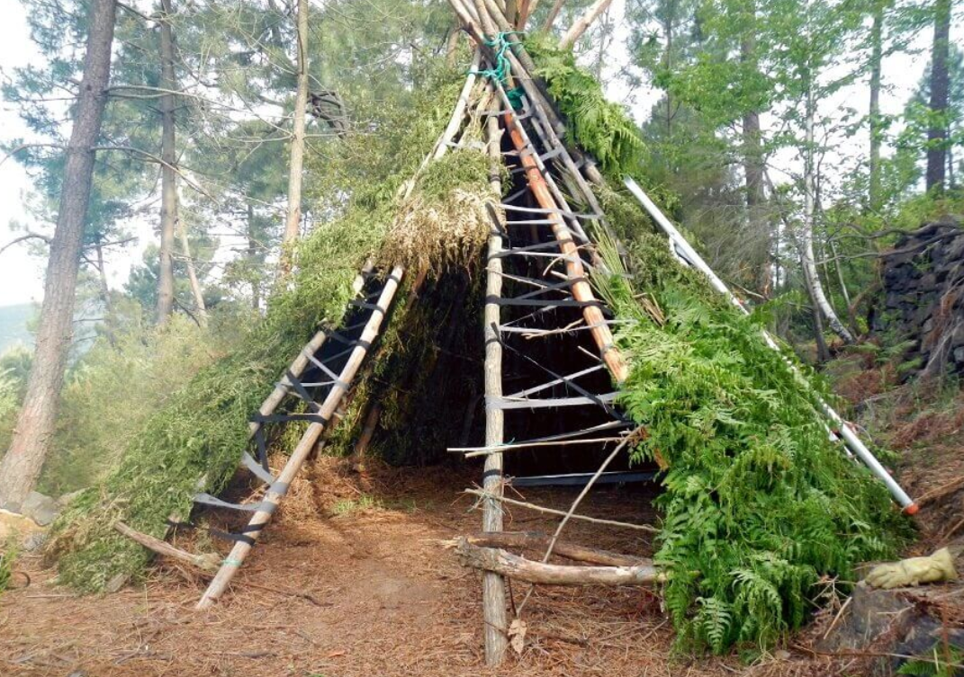 Как построить шалаш в лесу — Survive на DTF