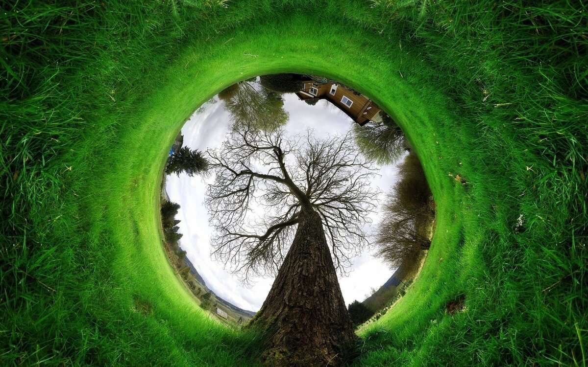 Яндекс.Картинки