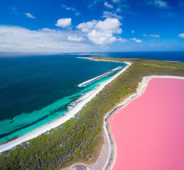 Порно фильм Розовая Лагуна / The Pink Lagoon () - смотреть онлайн бесплатно на русском