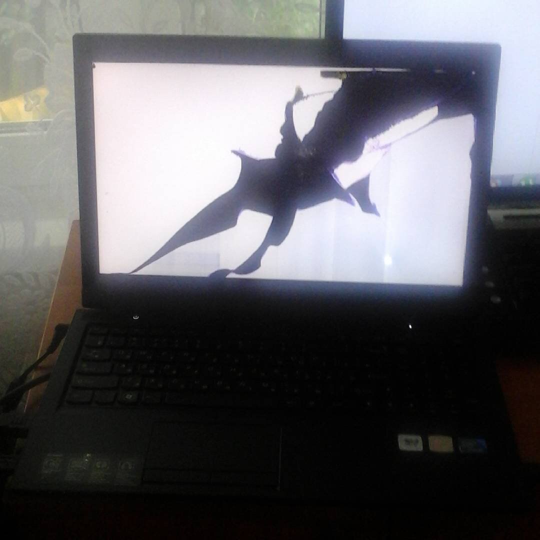 Фото: @dubrovakaterinka