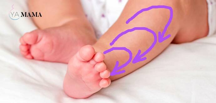 Стрелками показано направление поглаживаний. Они не должны быть слишком сильными или же слишком легкими (чтобы не было щекотно или неприятно), уверенные, мягкие.