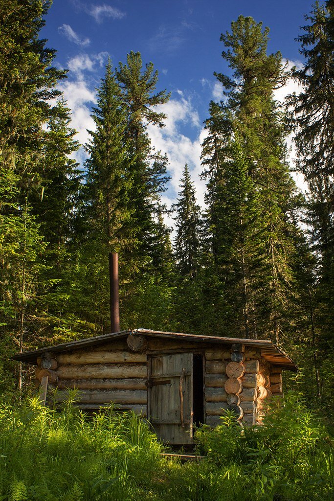 Фото с просторов Яндекса.