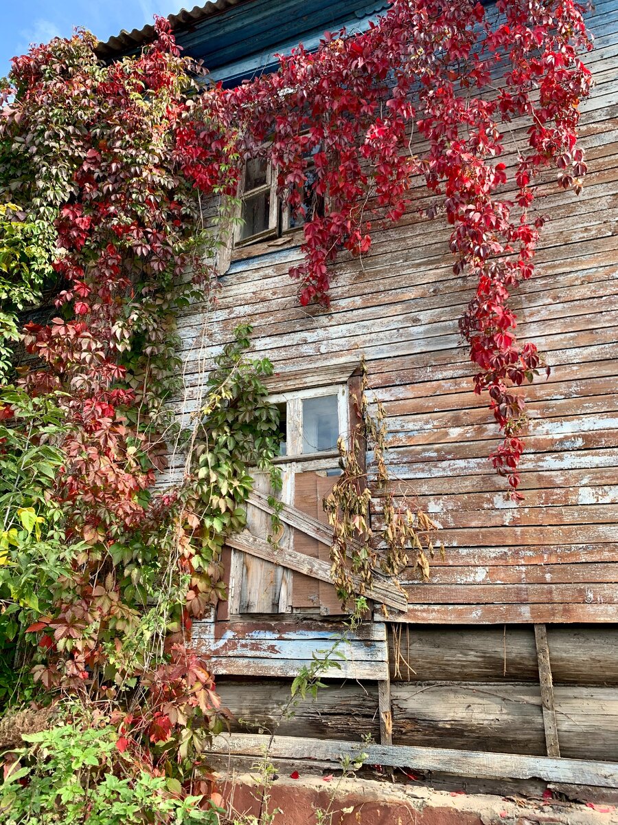 Фото Виктории Нальчиковой