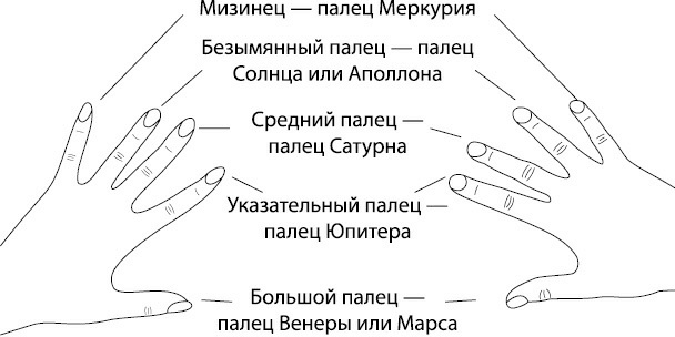 Изображение из книги "Ваши руки и ладони раскрывают вам секреты. Хиромантические этюды"  И. Новик