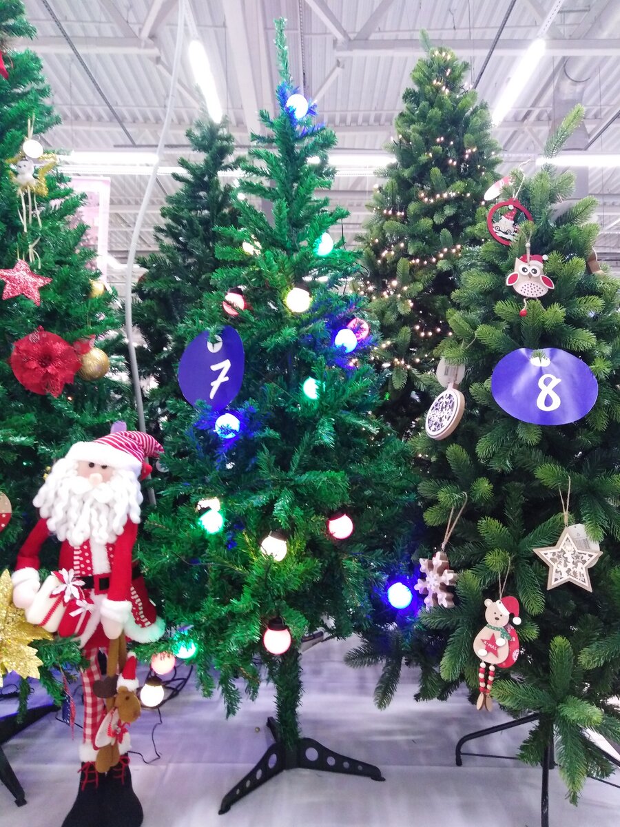 Фото из личного архива