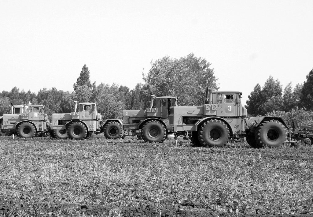 Фото из Яндекс Картинок