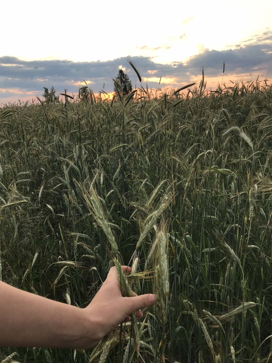 Интересное только для тебя!