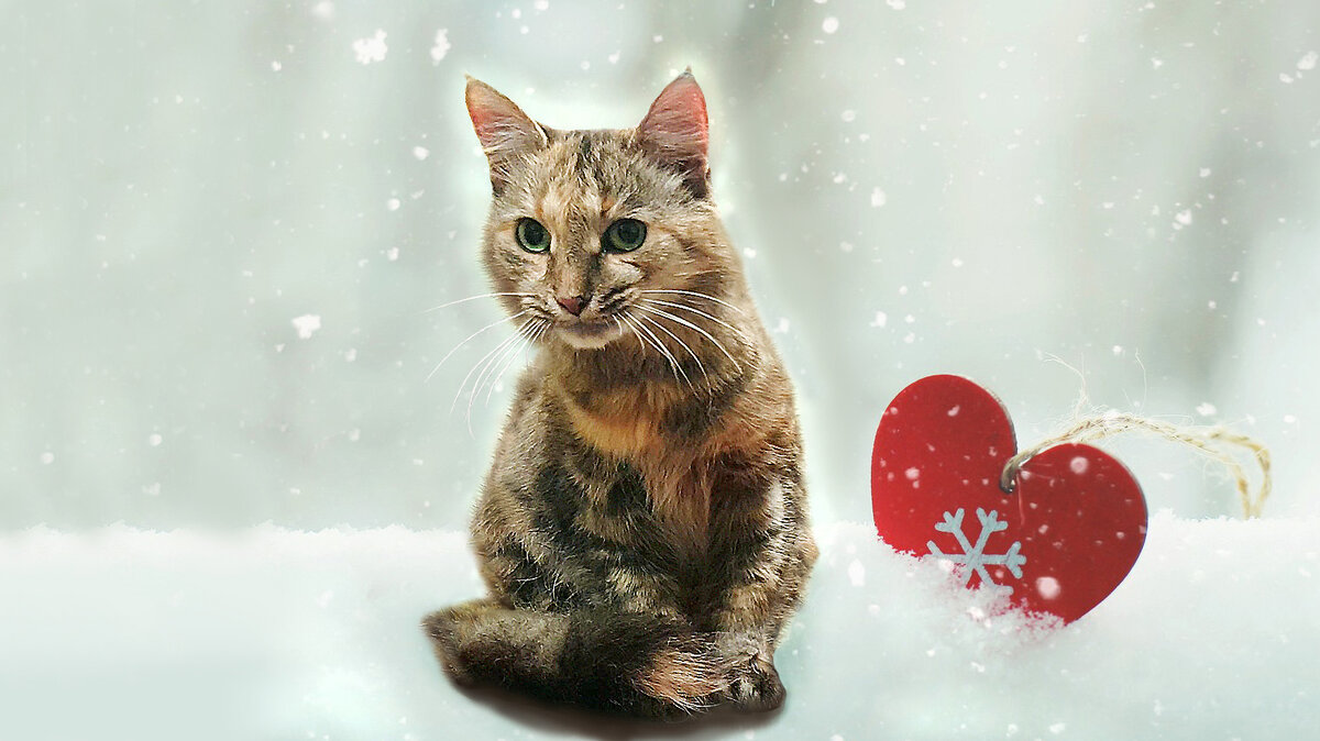 Девонька очень хочет быть нужной и любимой...