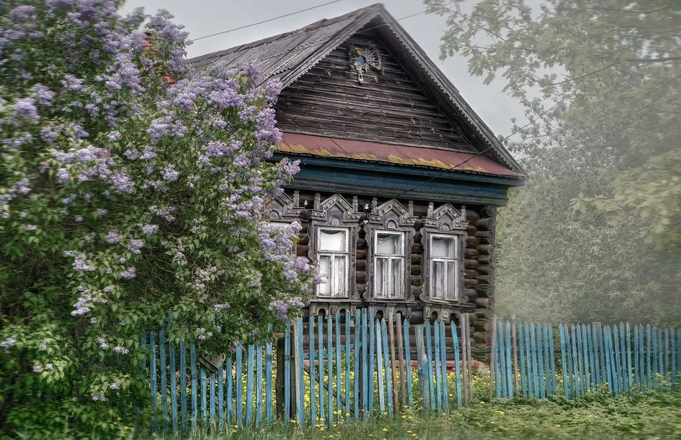снимок добавлен с открытого доступа