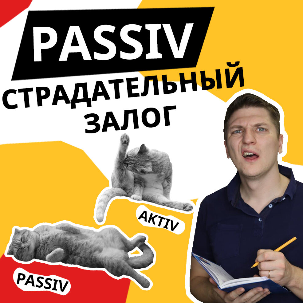 Пассив в немецком (PASSIV) на примерах | Страдательный залог | Немецкий  язык | Дзен