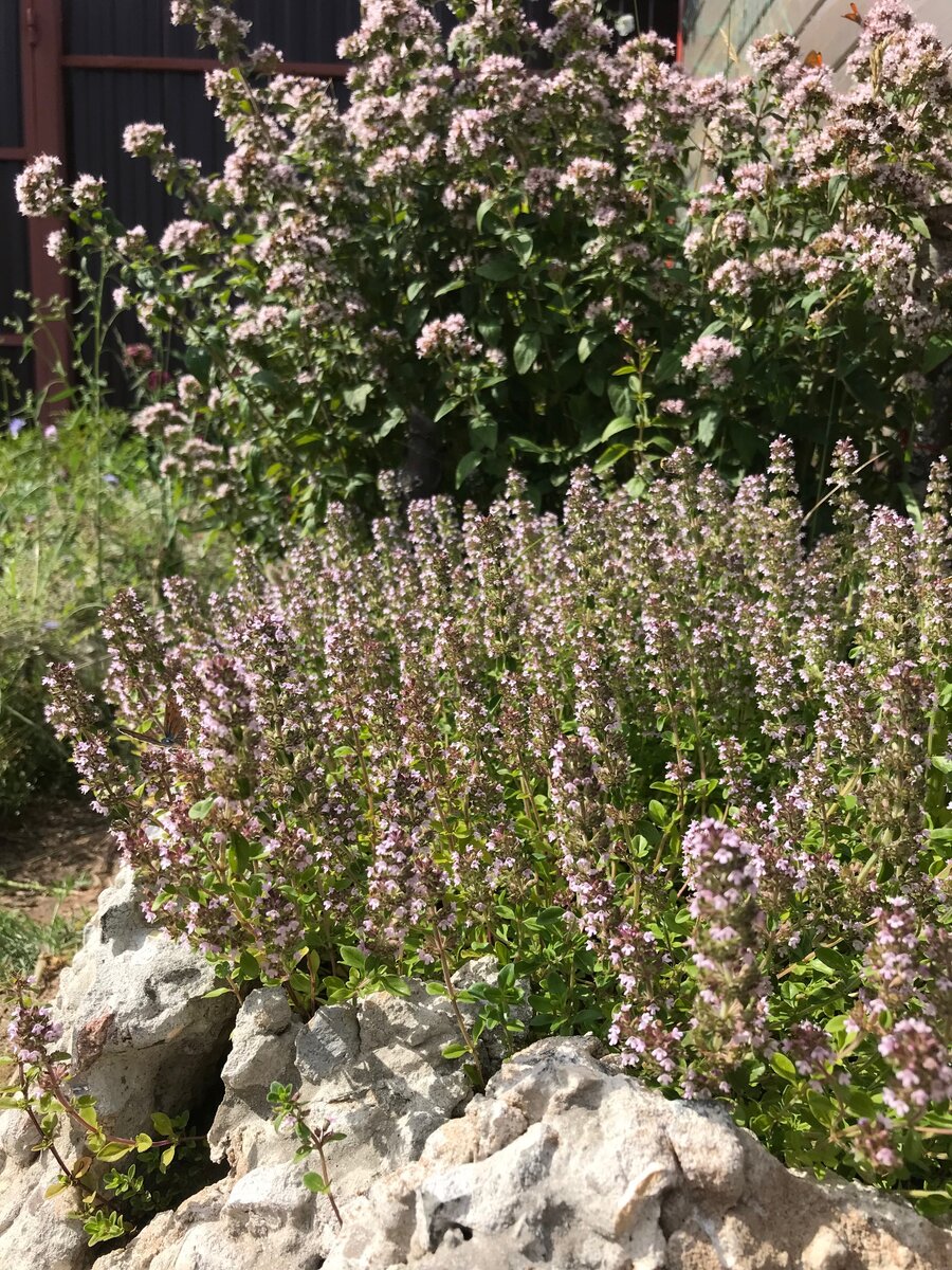 главные герои моего рассказа