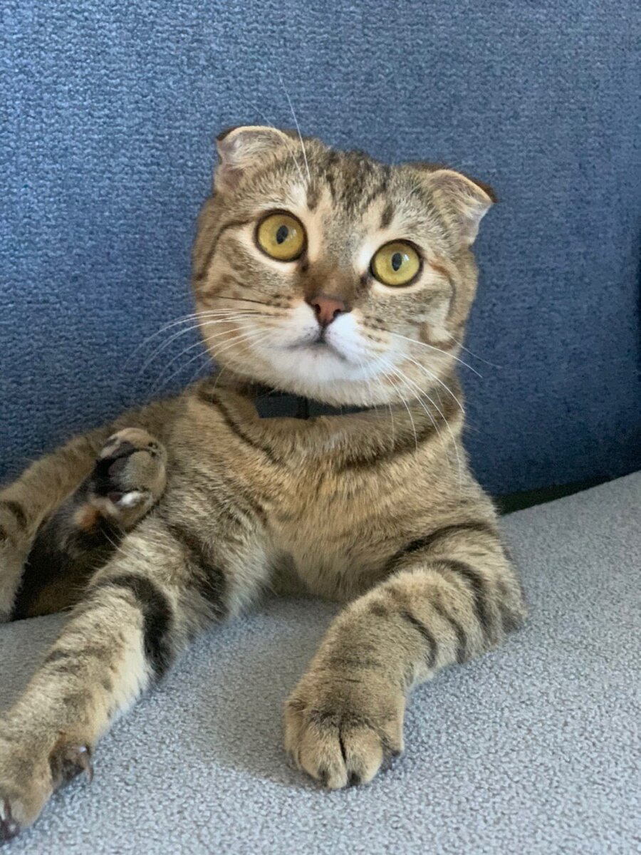 Мой первый день в моей семье 🥰