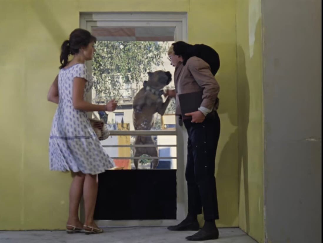 Кадр из кинофильма "Операция Ы и другие приключения Шурика" , цвет подьезда возбуждающий желтый.