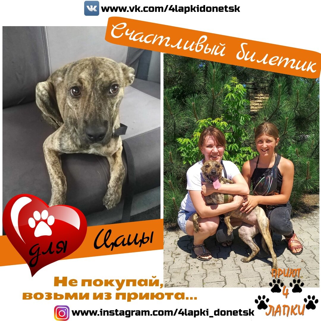 Фото: Шаталов Андрей