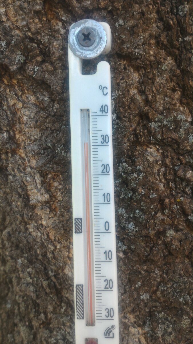 Средняя температура