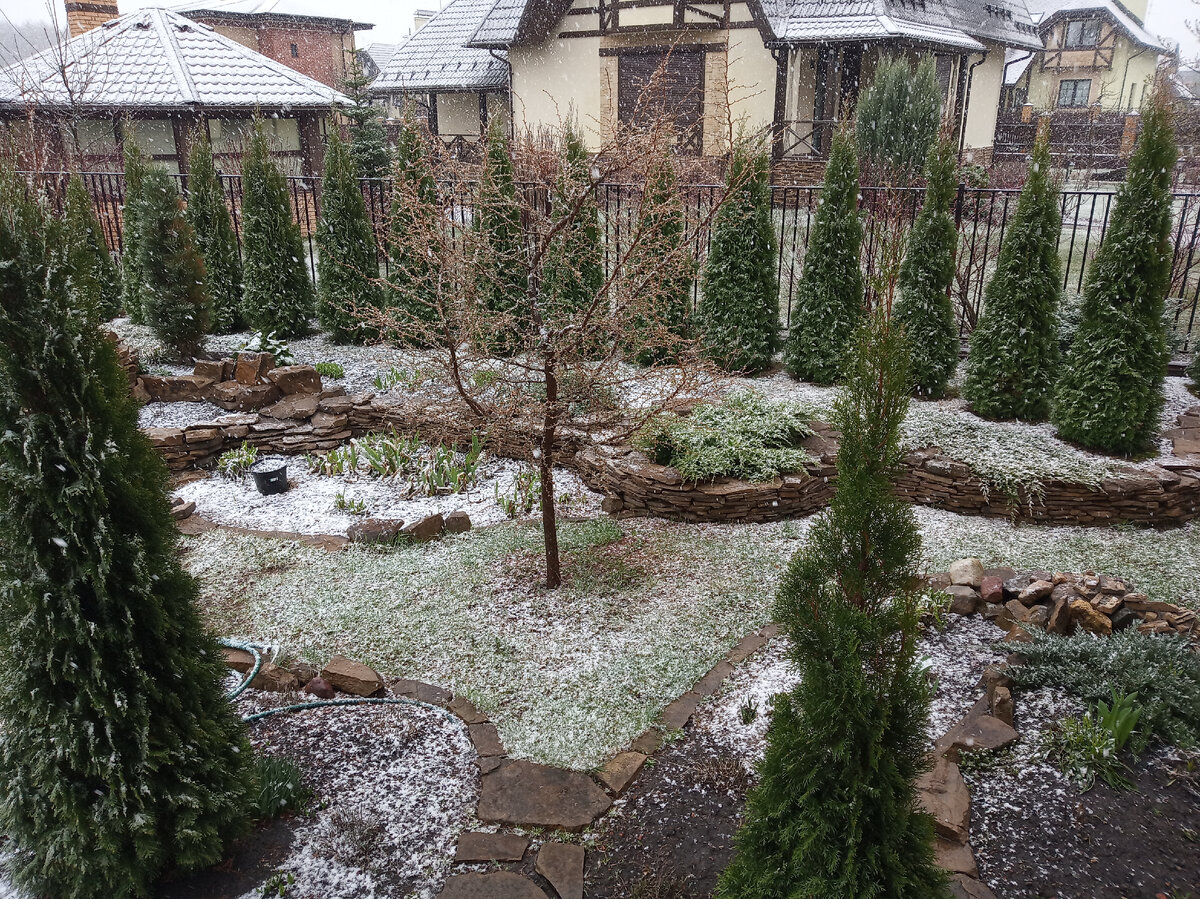 Нашим взорам предстала картина очень романтичная...