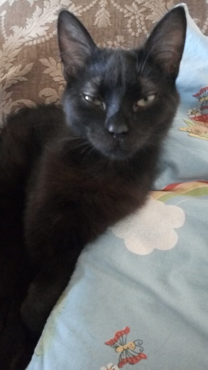 Который час?