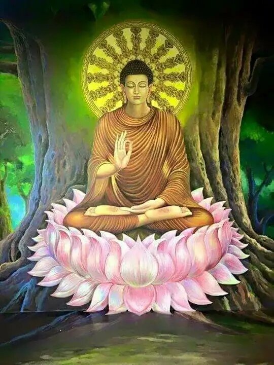 Цветок лотоса расцветает в мутной воде, он символизирует духовную чистоту человека, Когда он смог выбраться из этого материального мира в Духовный мир к Вечной Жизни.