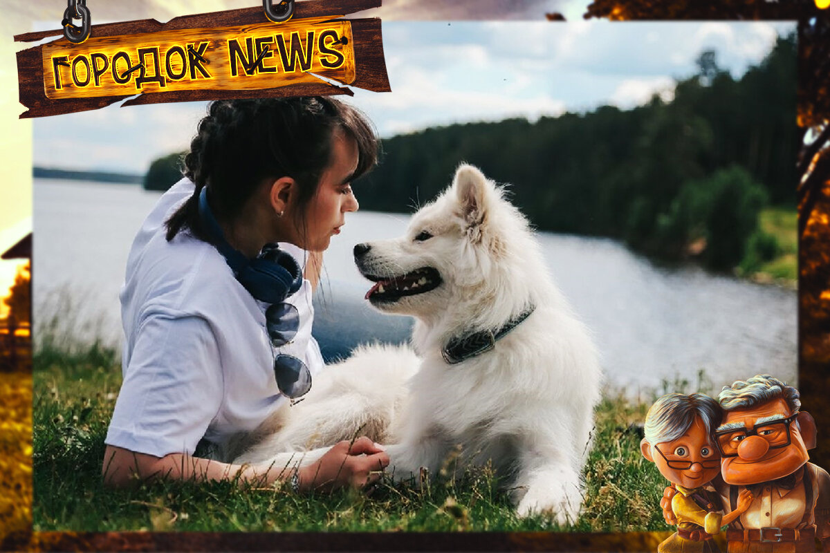 Источник Google картинки