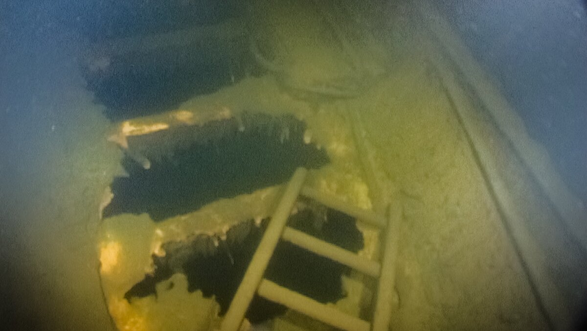 Подводные кадры. Фото: ЦПИ РГО