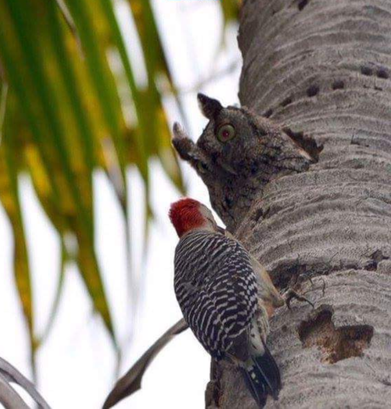  источник: pinterest.ru