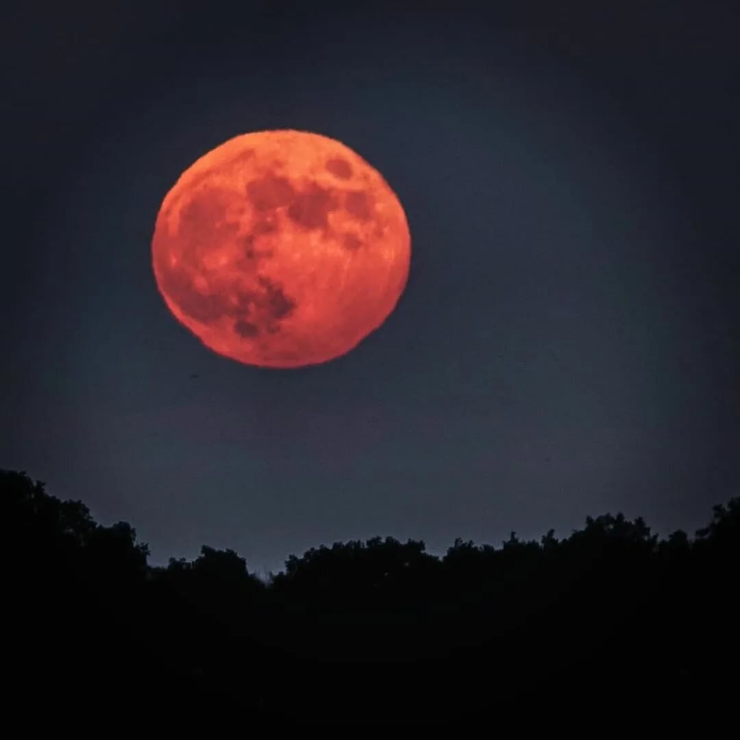красная луна terraria фото 19