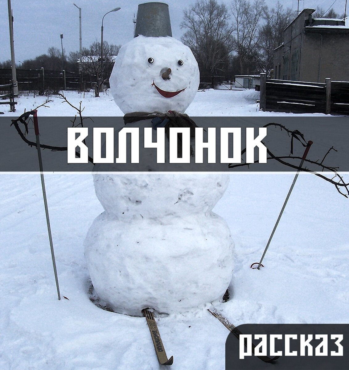 Карточка для рассказа "Волчонок", снеговик собран детишками Шушенского в 2007 году. 