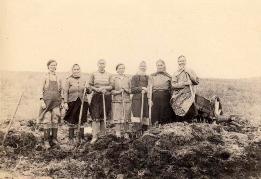 Сенокос в 40-е