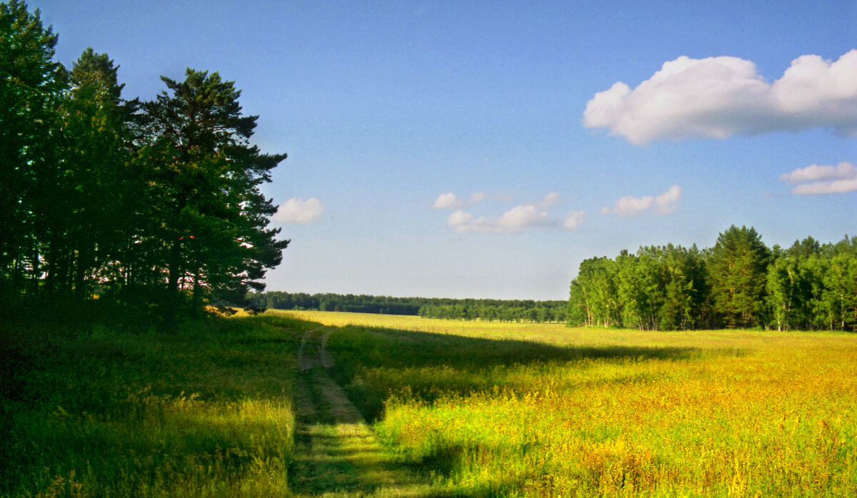 Красота полей