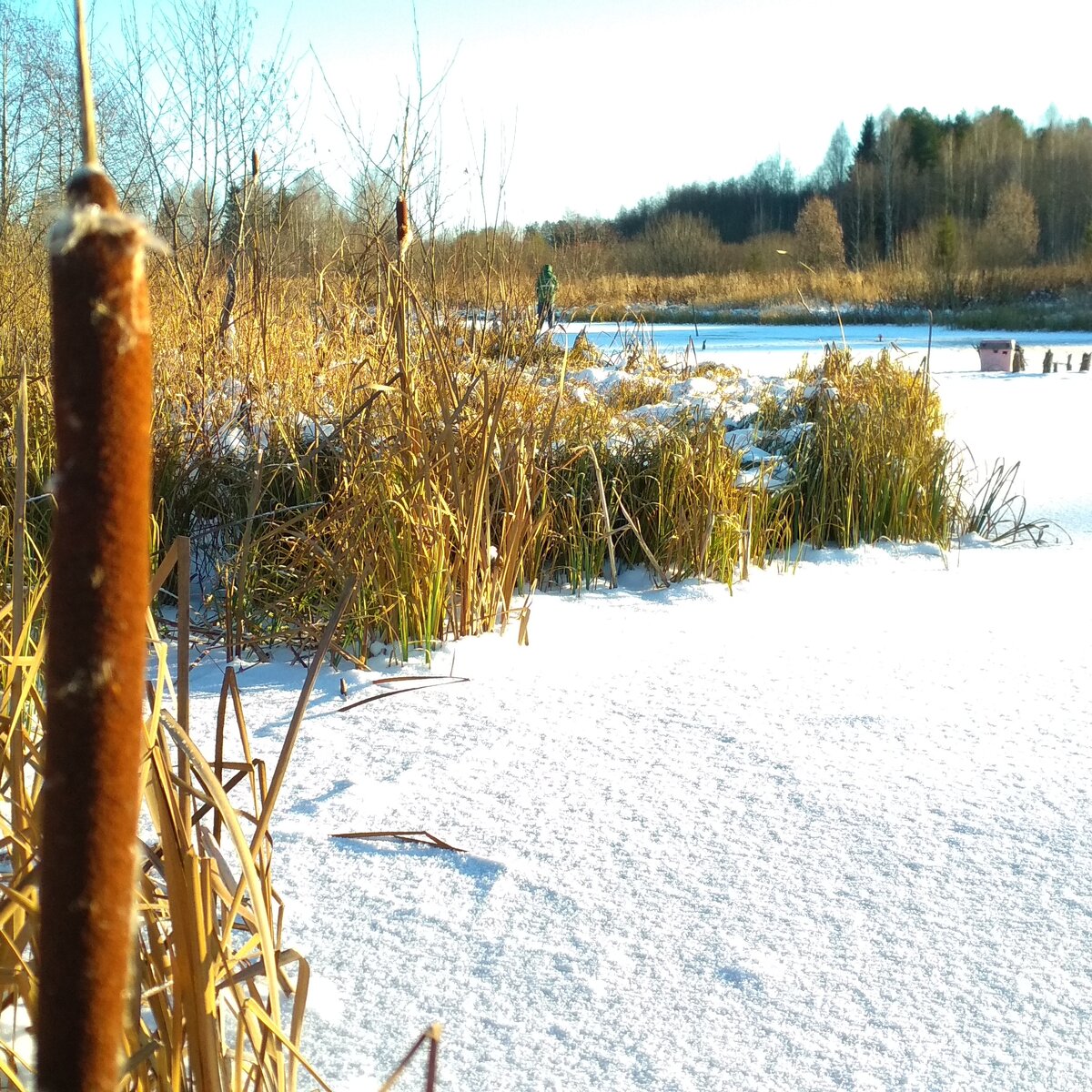 Открываем первый лёд. Зимняя рыбалка.