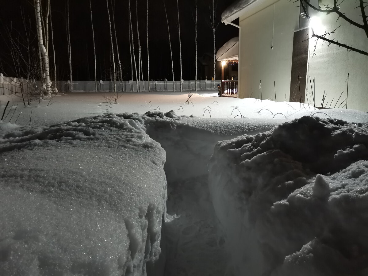 Такой январь, упасть в сугроб и плакать 🌨 🤦‍♂️ | Из квартиры в дом | Дзен