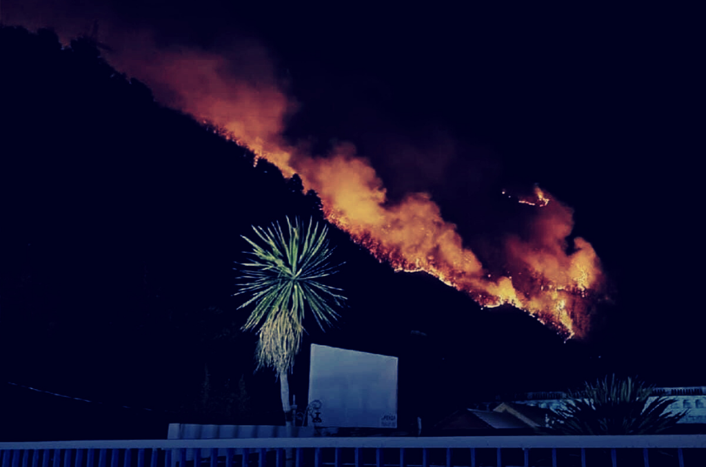 Лесные пожары в Абхазии в 2021 году