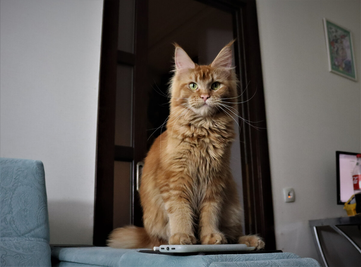 Фото из личного архива.