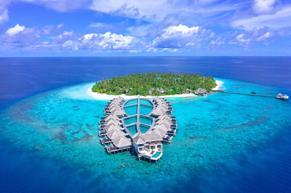 Фото автора Asad Photo Maldives: Pexels