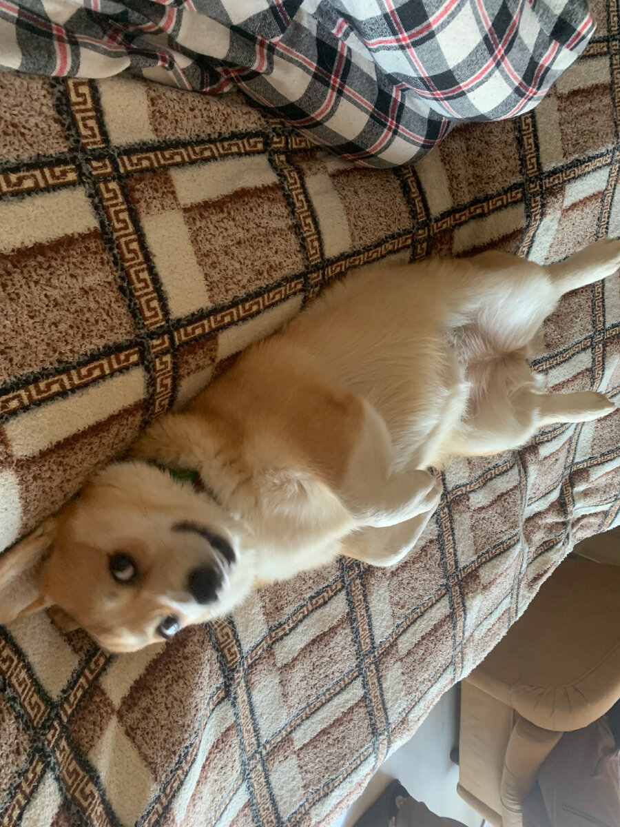 В попытках выбесить «мать» кусанием.