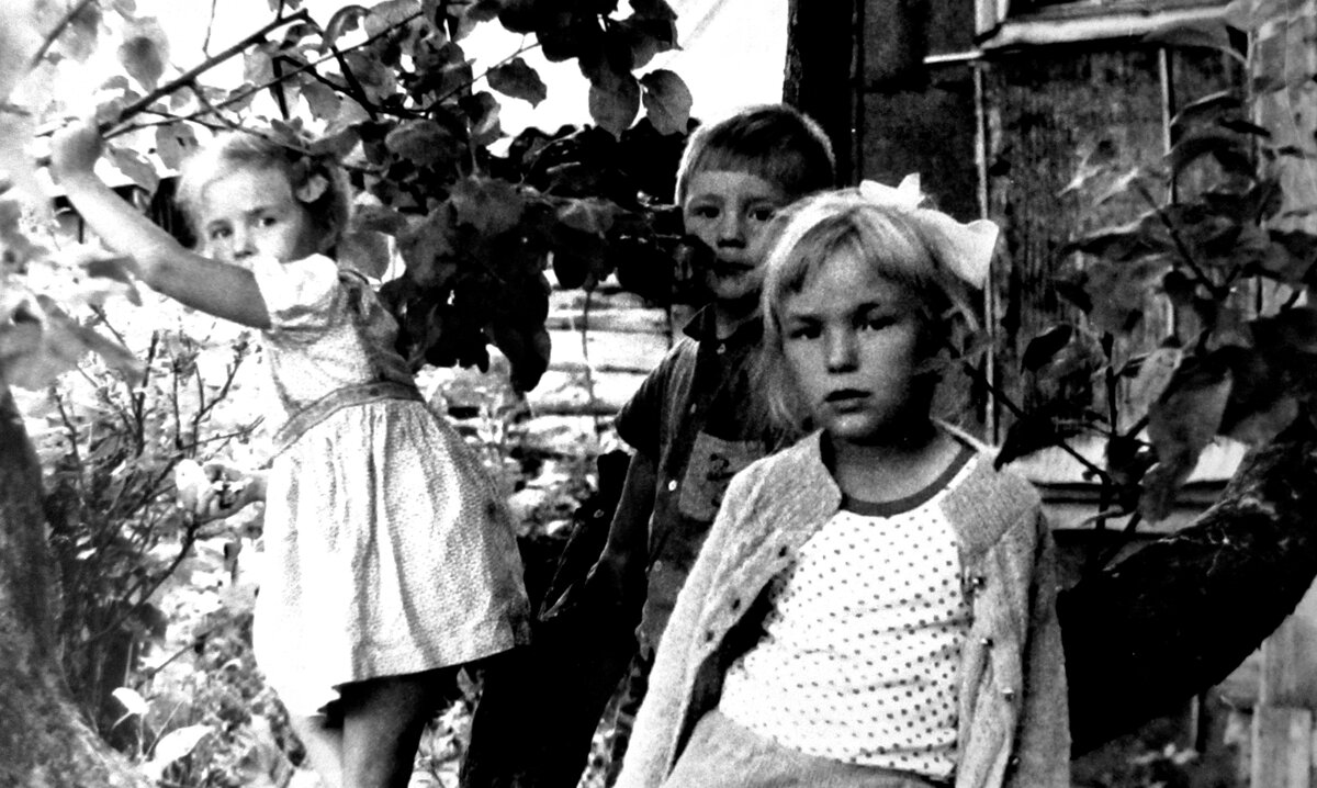 Наши дети в начале 90-ых к деревьям проявляли уже меньший интерес. А вот эта яблоня (ей около ста лет!) до сих пор ещё жива и хорошо плодоносит... Фото из личного архива автора.