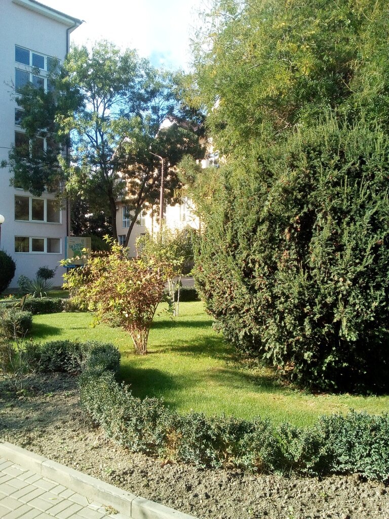 Территория пансионата