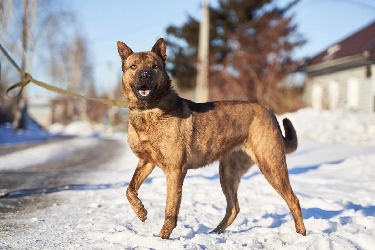 Алсу ждёт мам и пап 