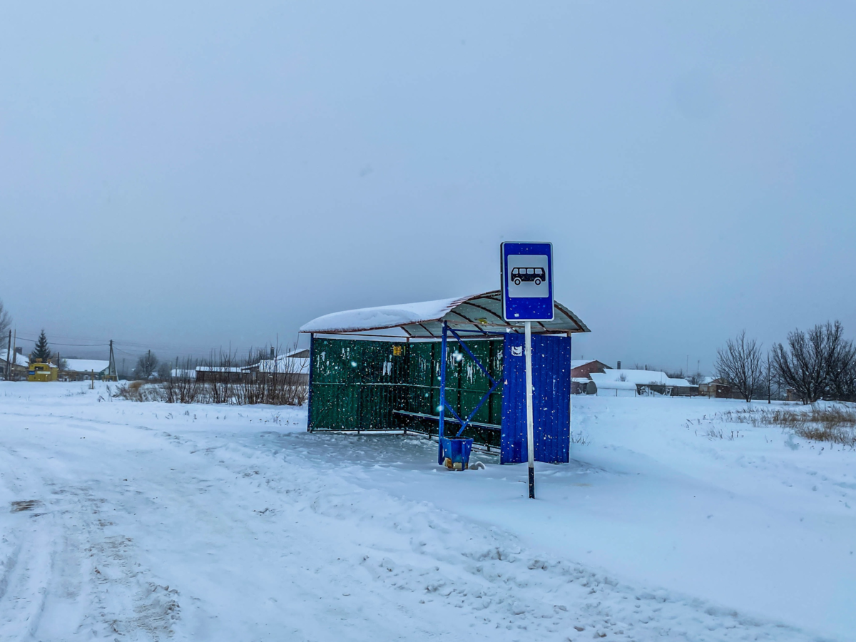 Путешествуя по Воронежской области, заехали в село Хреновое и посмотрели,  как оно живёт | Прекрасное рядом | Дзен