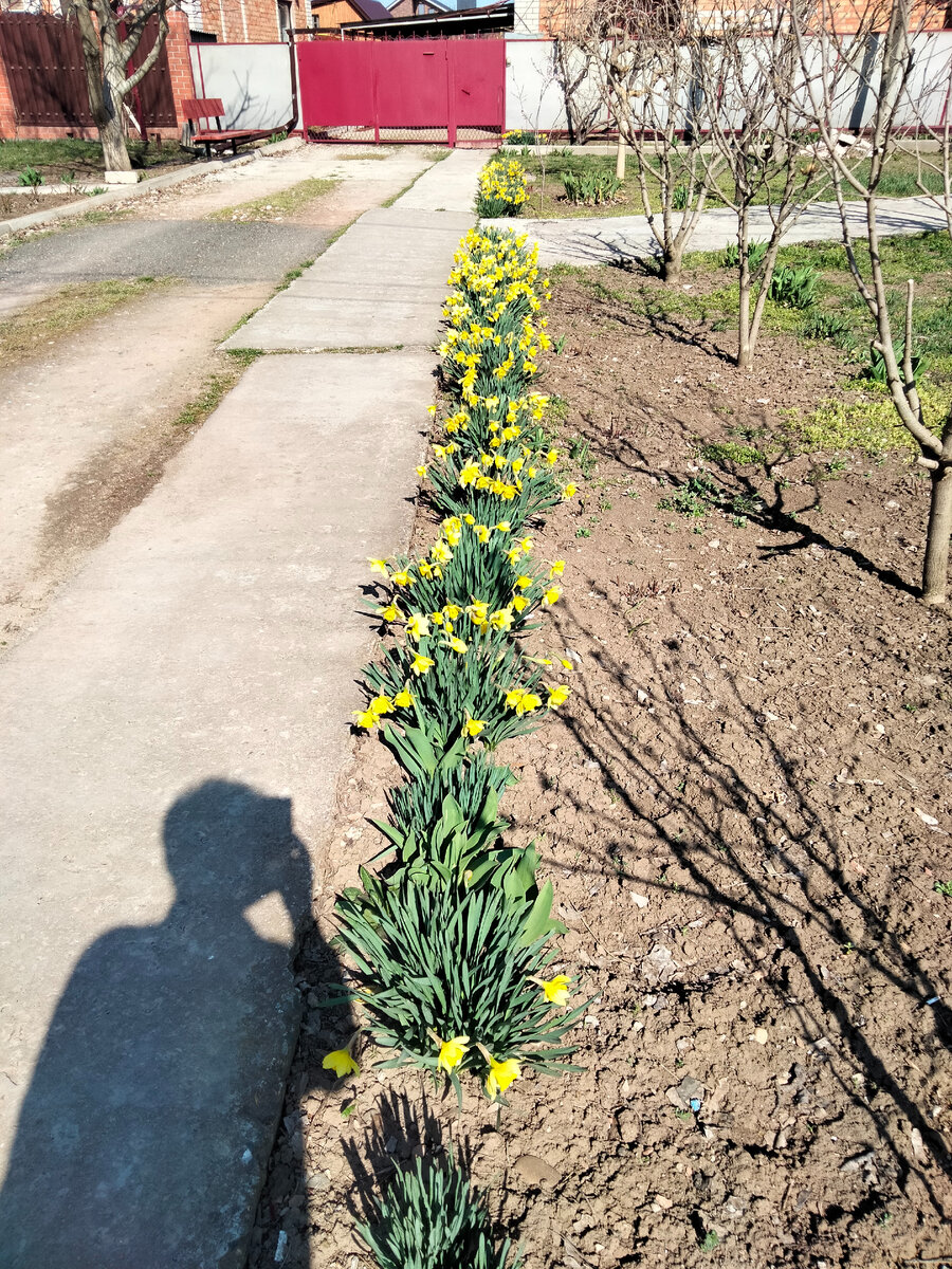 И моя тень)))