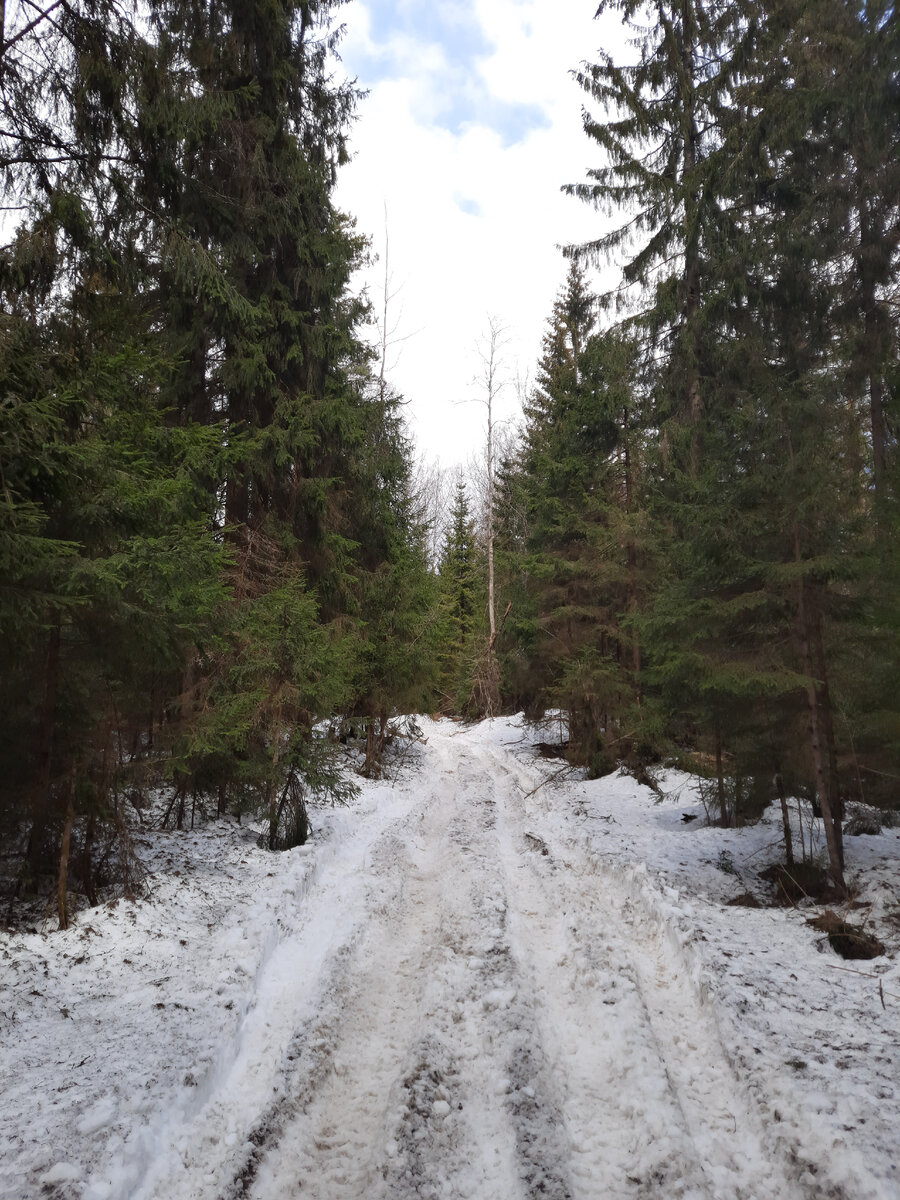 Агалатово не собирается расставаться с зимой