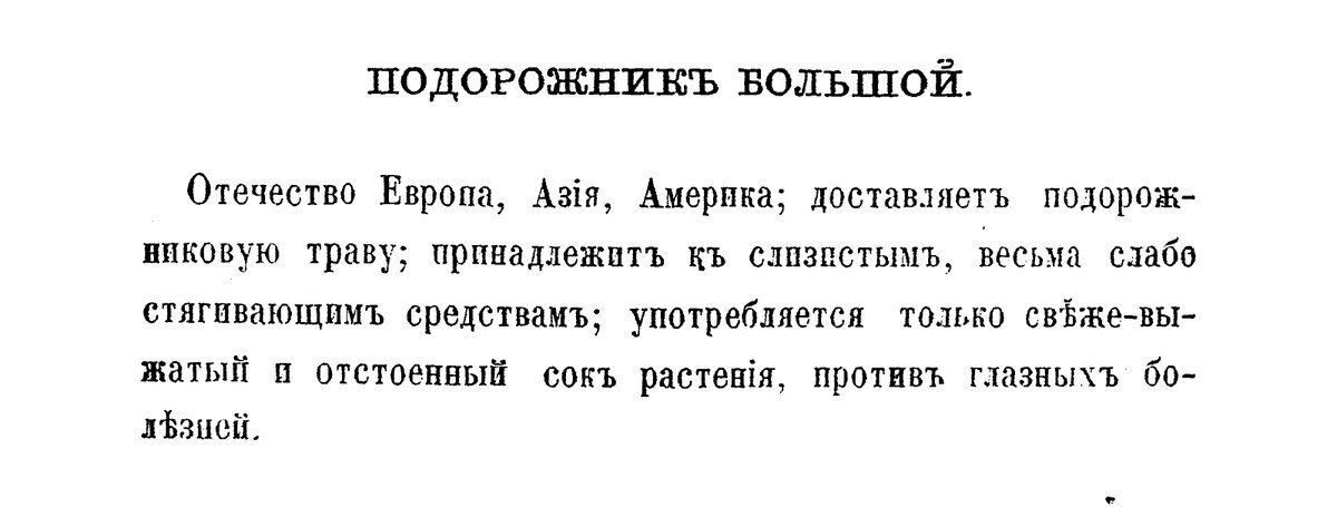 Описание подорожника из Травника 1870 года