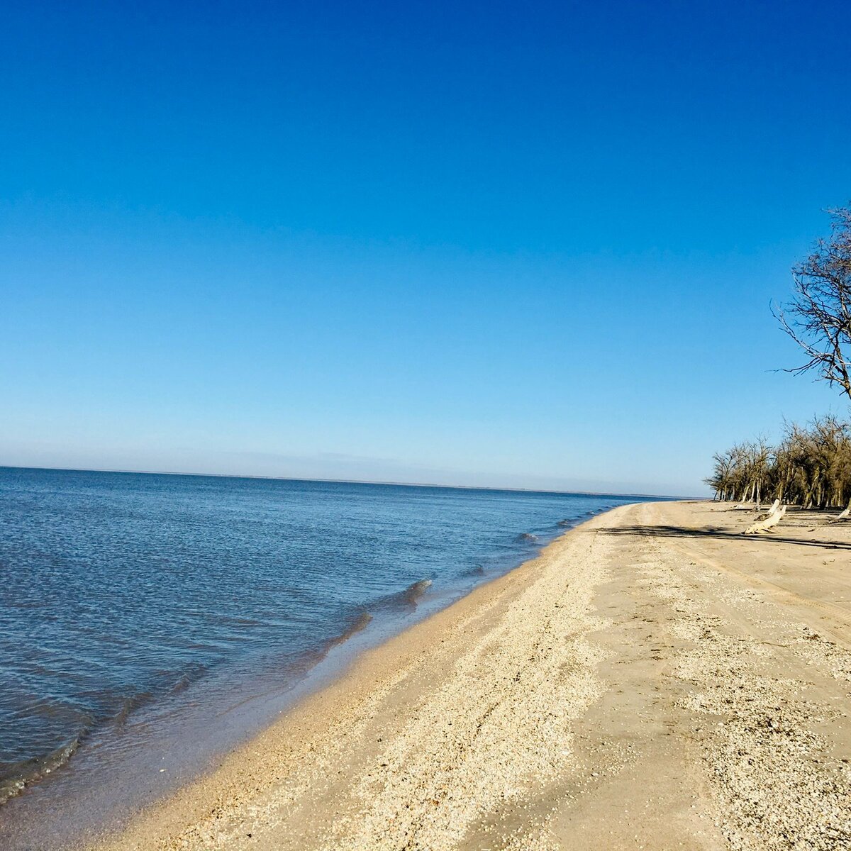 © Фото из личного архива Яны Любчанской