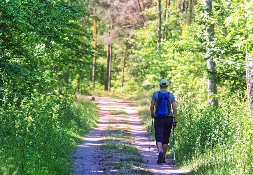 Фото: Pixabay.com