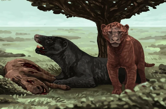 Время уже много, буди Серёгу.