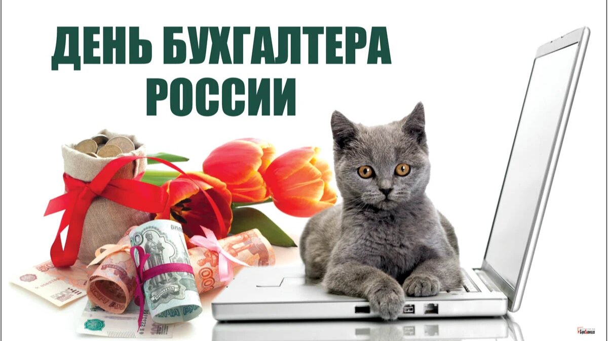 День бухгалтера России. Иллюстрация: «Курьер.Среда»